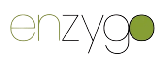 1101s case study for Enzygo